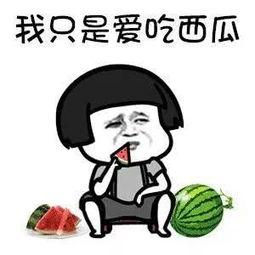 全娱乐都得吃我的瓜,全娱乐都得吃我的瓜，真相大起底！  第1张