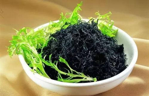 紫菜制作爆料视频教程全集,从零开始,轻松学会紫菜美食制作全过程 第1张 紫菜制作爆料视频教程全集,从零开始,轻松学会紫菜美食制作全过程 第1张