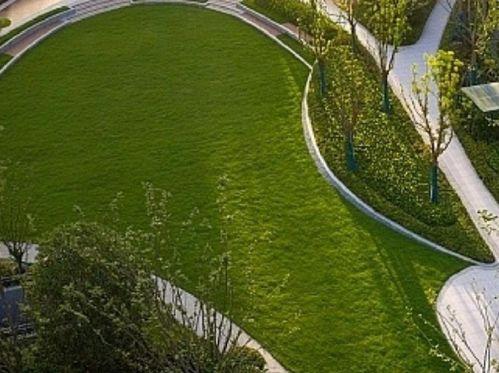 临平公园爆料最新消息视频  第1张